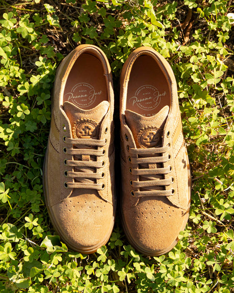 Gia sneakers de piel con forro interior de piel. cuero